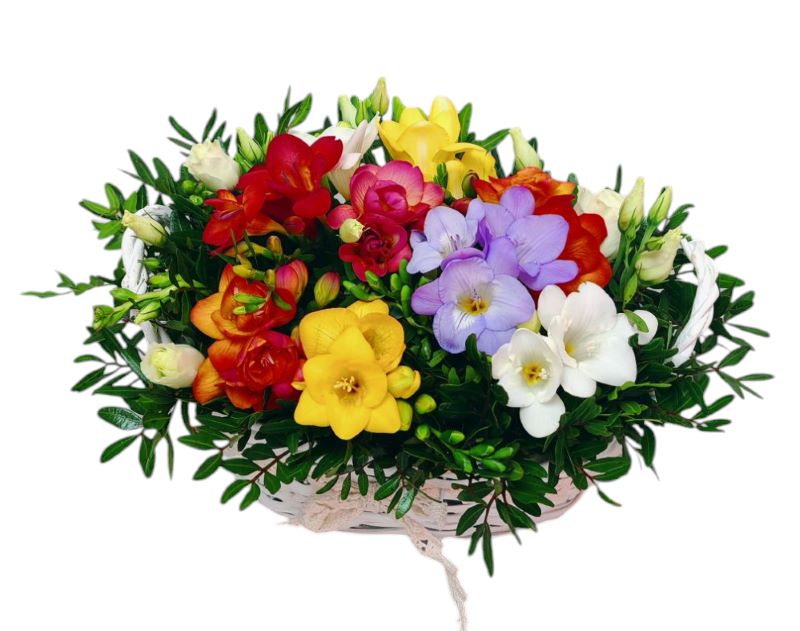 Coșul cu Frezii – Parfum și Gingășie