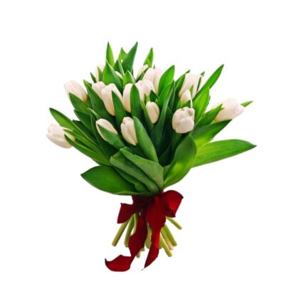 Buchet lalele albe cu panglică