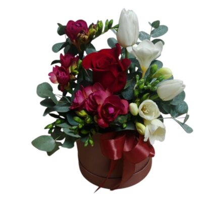 Frezii Fine in Cutie