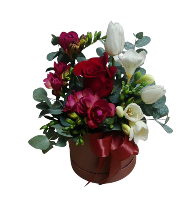 Frezii Fine in Cutie