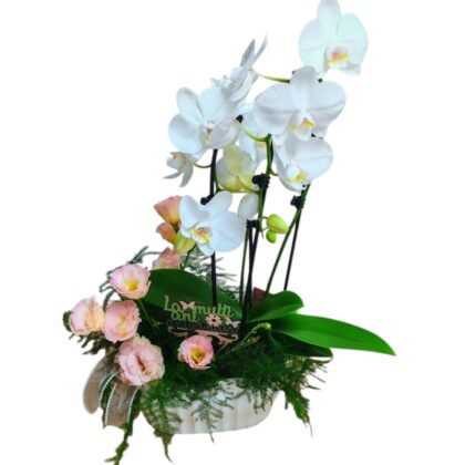 Aranjament Orhidee și Flori Proaspete