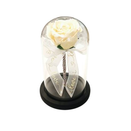 Trandafir criogenat în cupolă de sticlă