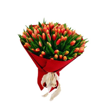Buchet XXL cu 101 Lalele Premium